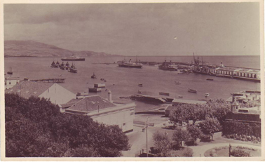 Harbor